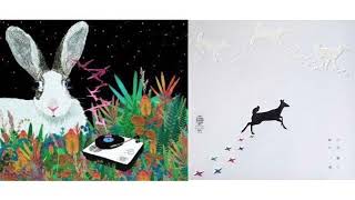 小沢健二 / 天気読み (Live) - YouTube