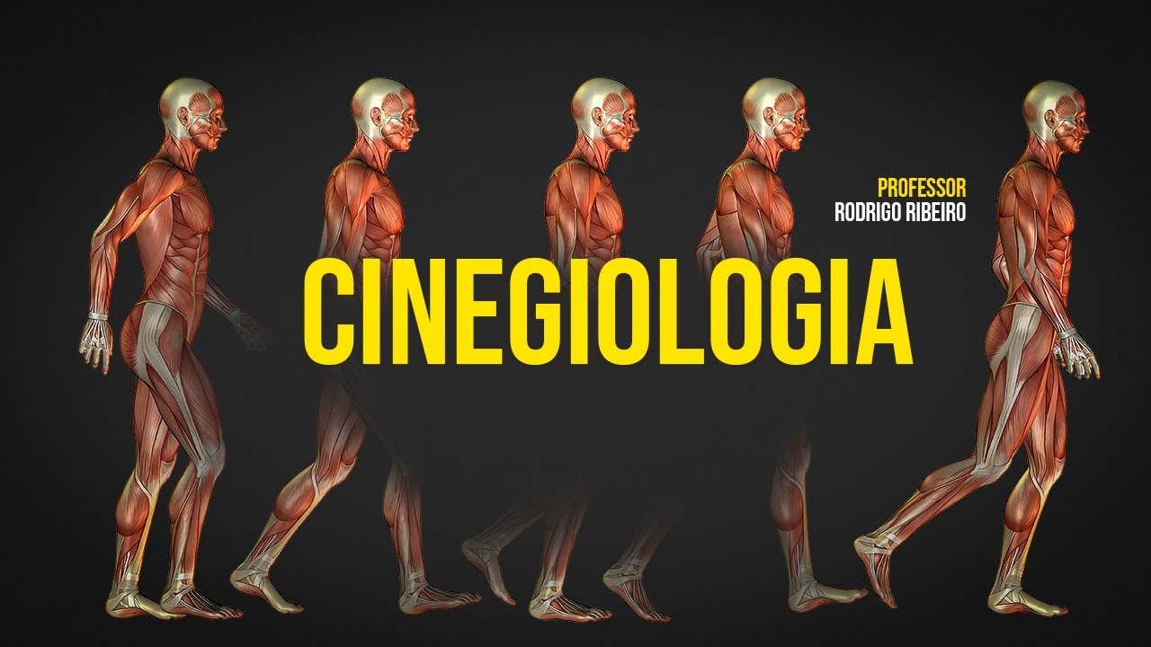 O Que E Cinesiologia EducaBrilha