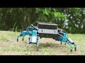 Creative project built with mbot mega  spider robot