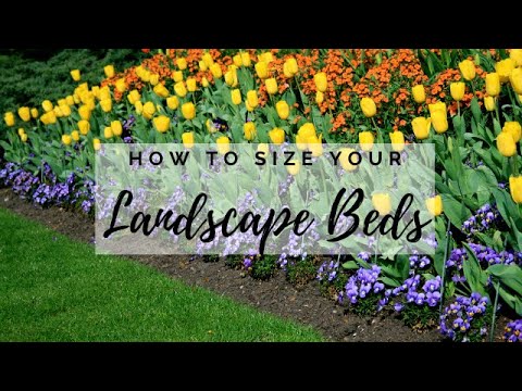 How big to make your landscape beds | Catherine Arensberg