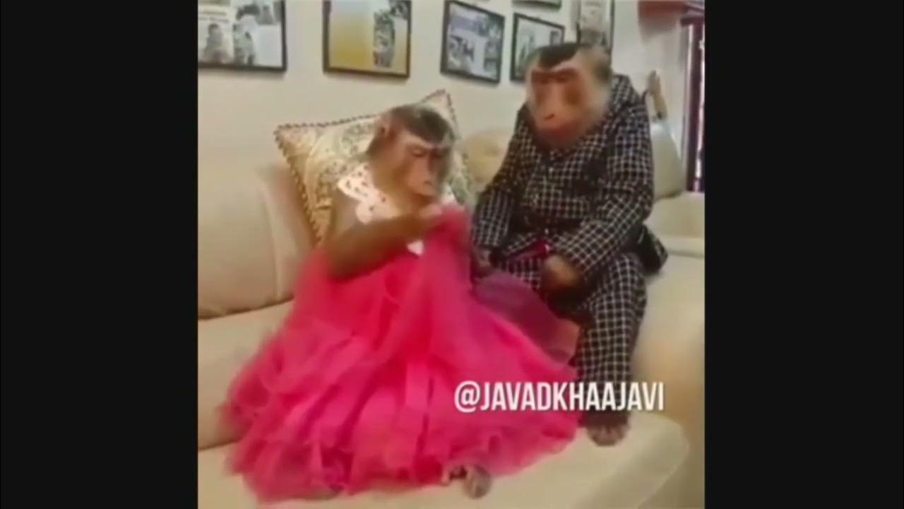 Very Funny Persian Iranian video Persian Iranian Comedy 8 - YouTube