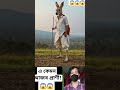 কৃষক ক্যাঙ্গারু😱😱 #trendingshorts #facts #kangaroo #viralvideo #viralshorts #trending