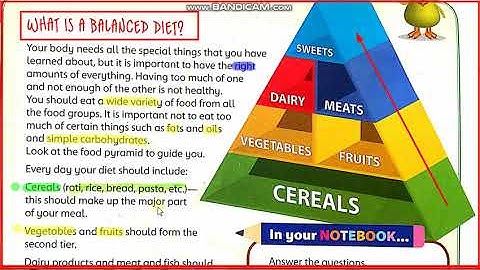 Science Class 4 Ch # 4 Food and Diet (Balanced Diet)