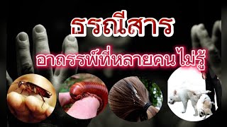 5 เหตุที่ทำให้ต้องธรณีสาร อาถรรพ์ที่ทำให้ชีวิตตกต่ำ