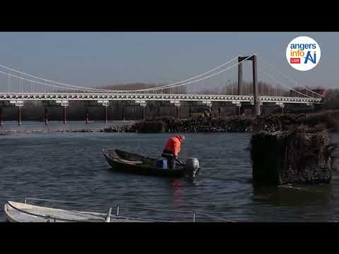 Les ligériens ont "peur" du bas niveau de la Loire