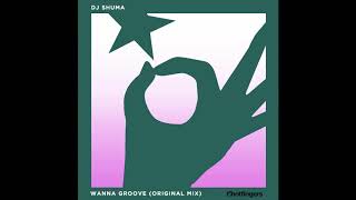 DJ Shu-ma - Wanna Dance (Original Mix) Resimi