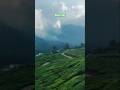Munnar, Top station Road #MunnarNatureBeauty #Travel #Beautyofmunnar