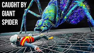 What If a Giant Spider Trapped You in Its Web? (3D Animation)