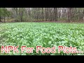 NPK Foliar Fertilizer For Natural Browse And Food plots!