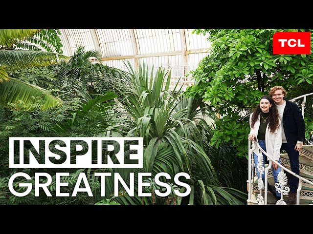 Inspire Greatness | TCL class=