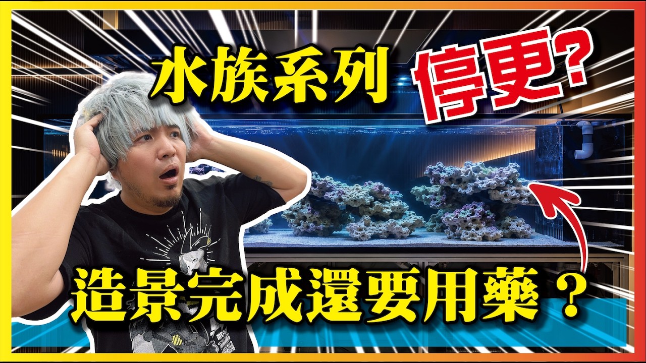 【水族系列停更?】造景完成!現在玩水族還要懂的用藥? 縮圖
