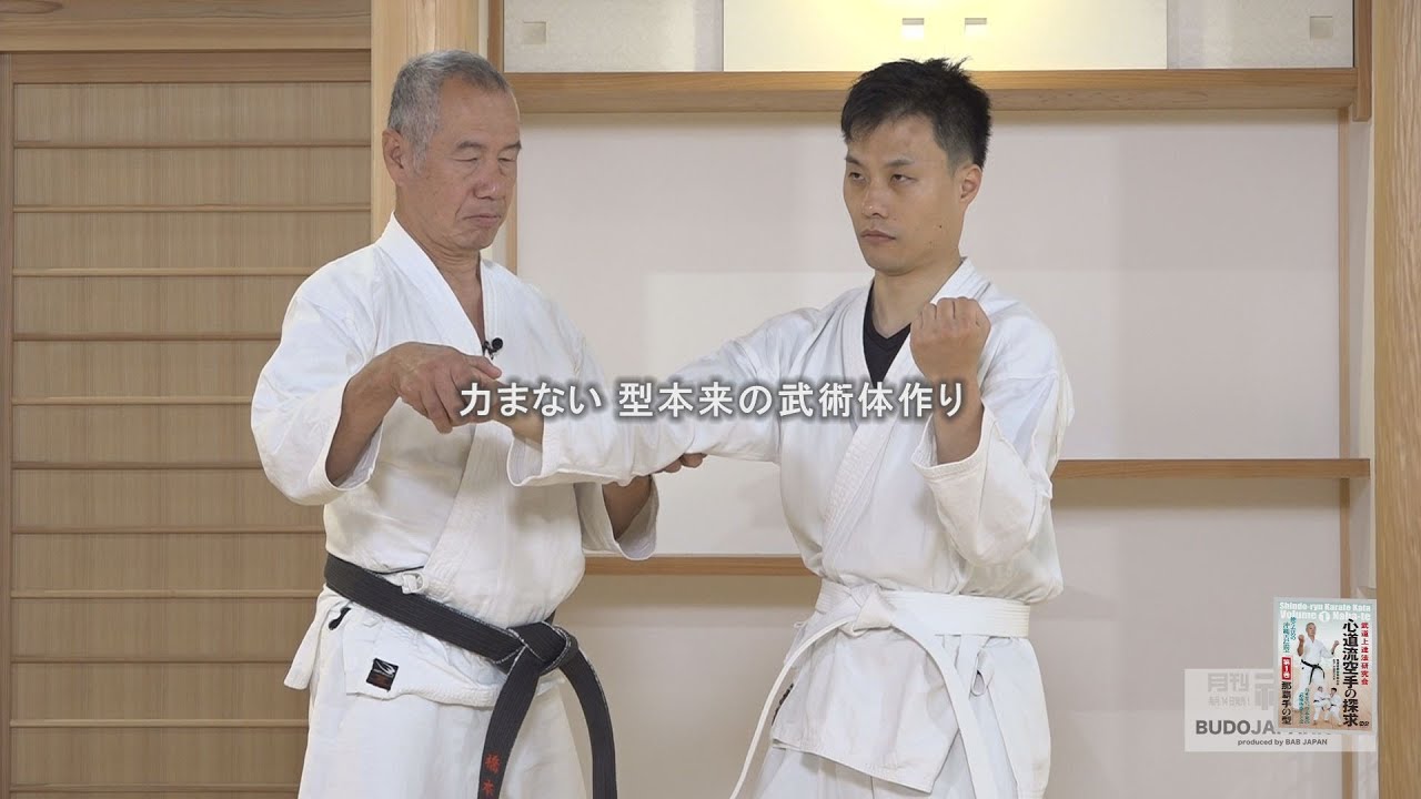武道上達法研究会【心道流空手の探求…第1巻：那覇手の型】型本来の