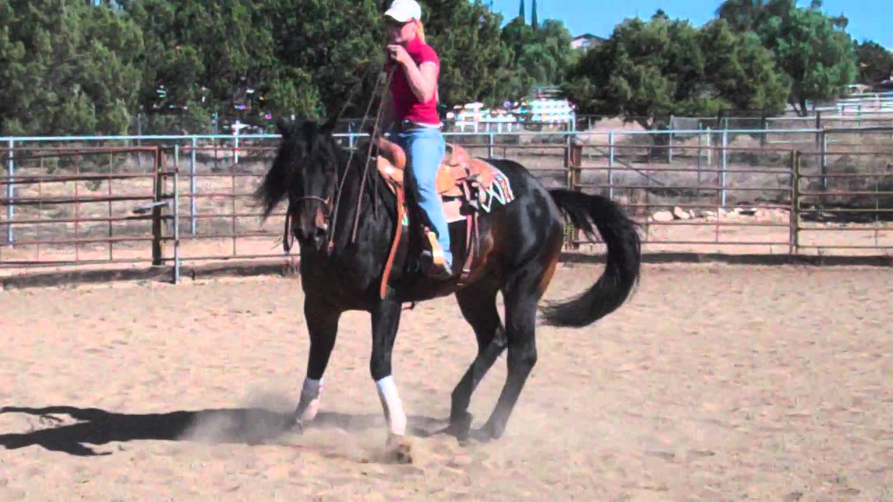 Gunner Reining maneuvers part 2 YouTube