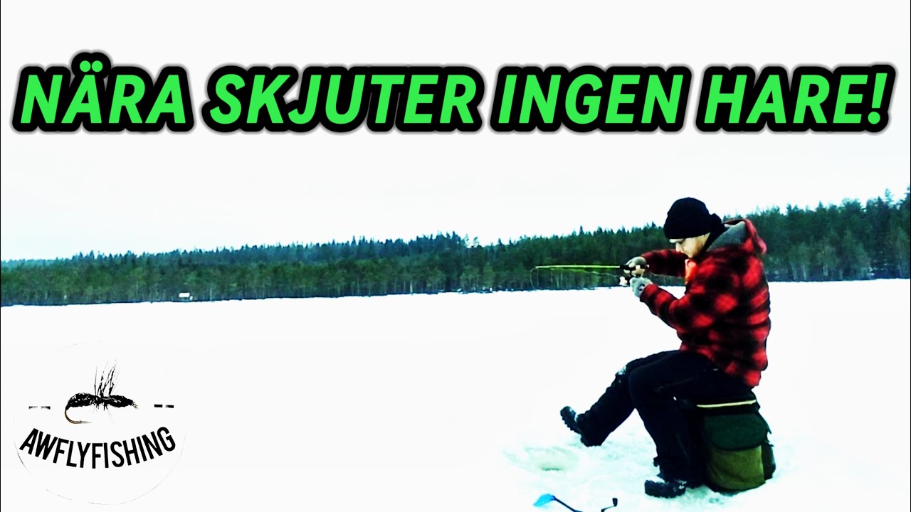 Vinterfiske i Dalarna - Fiske efter regnbåge