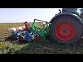 Strip till maize into cover crop