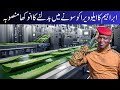 Ibrahim’s Unique Plan to Turn Aloe Vera Into Gold | Aloe Vera Business in Pakistan | Full Report