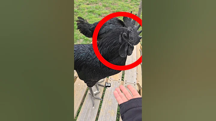 It’s not a phase, Mom 💀