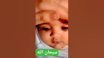 عيني ع الجمال 