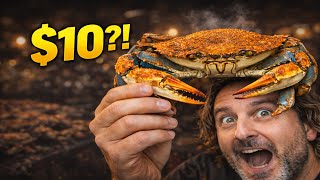 I Found $10 Maryland Blue Crabs (Not a Restaurant)