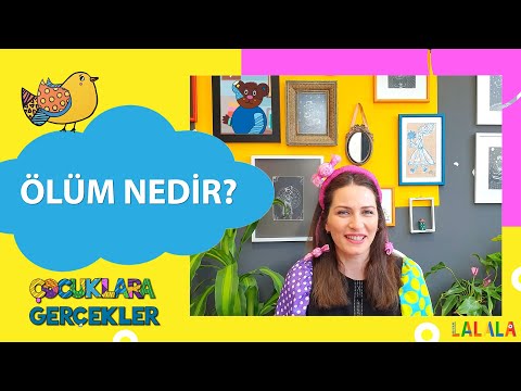 Video: Çocuklar için fotosentez gerçekleri nedir?