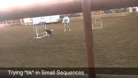 Ellie Lolabuland Foundations Lesson #1