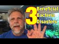 3 Beneficial Bacteria Disasters! [Tips that can Save Your Tank!]