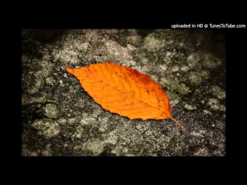 ვია 75 ფოთოლი მოწყდა ტოტს