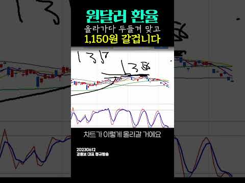   원달러 환율 증시 전망 연말까지 1150원 갈겁니다 강흥보 대표