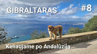 Gibraltaras. Įveikėme kalną pėsčiomis. Keliaujame po Andalūziją. 8 diena