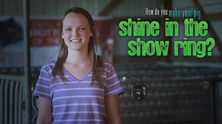 Show Pig: How to make your pig shine for the show ring