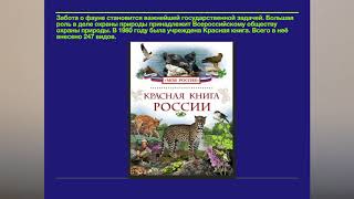 ВСЕМИРНЫЙ ДЕНЬ ЗАЩИТЫ ОКРУЖАЮЩЕЙ СРЕДЫ