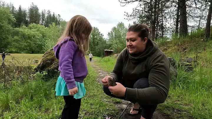 A Good Day at the Pond | Catching FISH in North Ce...