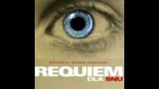 Requiem for a Dream / Requiem dla Snu chords