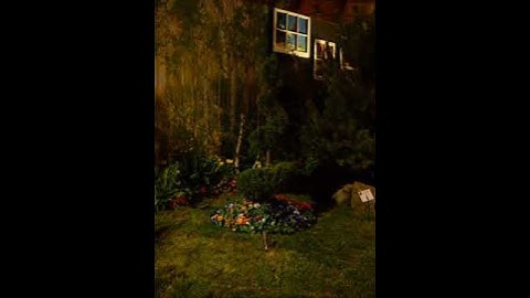 Spiral Topiary Go-Round