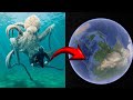 I found giant octopus  on google earth shortsofficial online facts viral googleearth