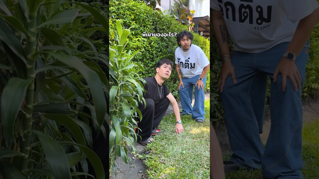 ก็นึกว่ามองอะไร #funny #pranks #พีช #พีชอีทแหลก