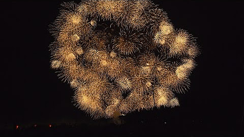 Japan Videography