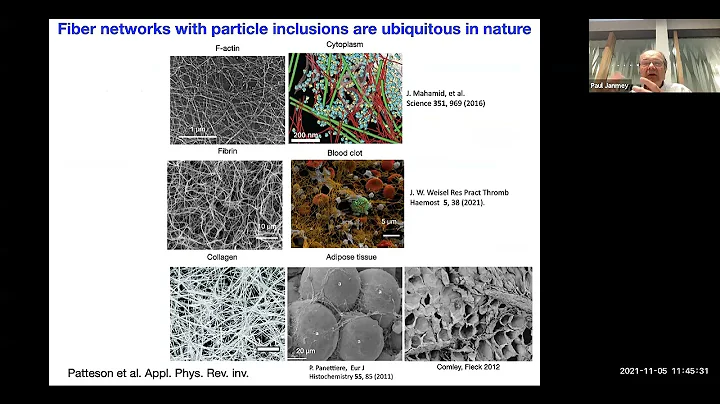 Paul Janmey:  Mechanical properties of cells and t...