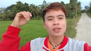 MY BIONOTE VLOG ( Romer Greño )