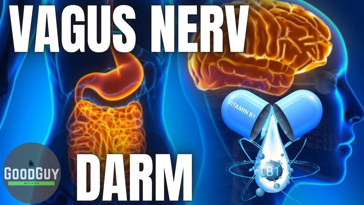 Dein Vagus Nerv braucht Thiamin! Vitamin B1 Mangel Darmfunktion zucker