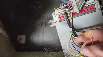 K-Swap Wiring 101: Hasport Universal Harness Install Tutorial