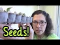 Why I Grow My Garden From Seed (as much as possible)
