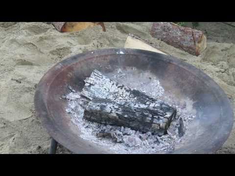 Charbroiled Trout: The Aimless Cook