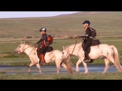 Video: Flores Horse Race Hypoallergenic, Health And Life Span