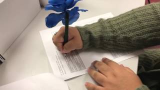 Filing an OSHA Complaint