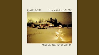 Video thumbnail of "Howe Gelb - But I Did Not"