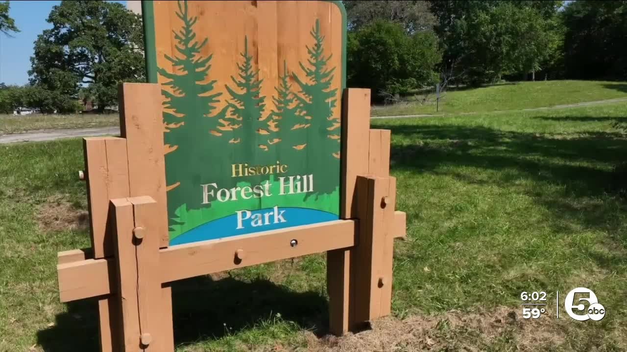 Efforts to revitalize the Historic Forest Hill Park has multiple sides calling for action