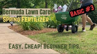 Fertilize your BERMUDA LAWN this Spring for a NICE GREEN LAWN! Beginner tips on a budget.