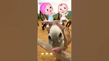 يا لولو يا لولو في نونو بح بح مافي نونو لولو ضاعت لولو وميدو Shorts 