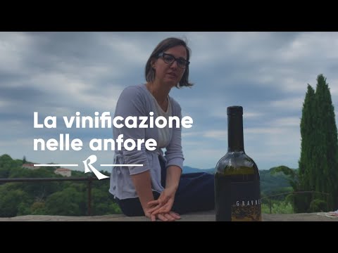 Video: Kaj Je Vino Amphora? Uvodnik O Enem Najstarejših Načinov Za Pridelavo Vina